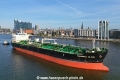 Seaways Olive (KB-D121024-10).jpg