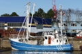 Butjadingen FED5 (OK-160216-1).jpg