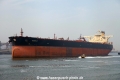 Aquila (JS-240415-21).jpg