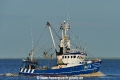 Damkerort SC12 (OK-280520-1).jpg