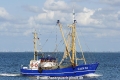 Elena JG-200822-1.jpg