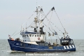 Damkerort HK-100717.jpg
