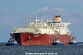 Al Gattara TR-070816-211.jpg