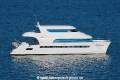 Dolphin RV-080312.jpg