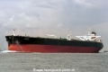Al Samidoon (OS-FN1098-1).jpg