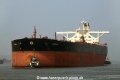 Aquila (JS-240415-08).jpg