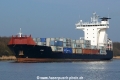 3 Oak (OK-100314-0).jpg