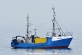 DZI-100 HK-220319.jpg