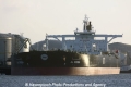 Al Riqqa (MS-080112-003).jpg