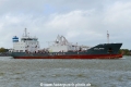 Cemclipper (OK-211021-1).jpg