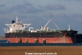Arion (MM-281214-1).jpg