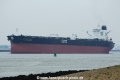 Al-Salheia (JS-250814-01).jpg