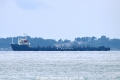 Dongbang Giant No.5 OS-061117-01.jpg