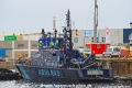 Albatros 280409.jpg