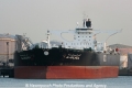 Al-Salheia (MM-240312-1).jpg