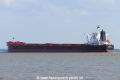Chancy (KK-060715-1).jpg