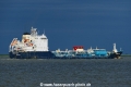 Blue Star (KK-080619-3).jpg