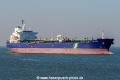 BW Hawk SH-040322-01.jpg