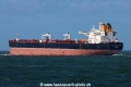 Elandra Falcon TL-061022-4.jpg