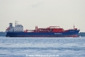 Gaschem Mosel (MS-201007-05).jpg