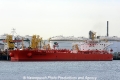 Eagle San Juan (MM-300413-1).jpg