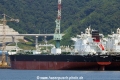 British Seafarer (MS-060816-02).jpg