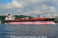 Bunga Lavender (OK-150711-2).jpg
