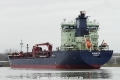 Bonito (KK-071215-0).jpg
