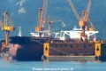 Elandra Falcon (MS-270517-02).jpg