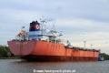 Bull Kangean JB-011122-05.jpg