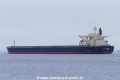 Cape Violet (KK-220318-2).jpg