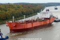 Bull Kangean JB-011122-02.jpg