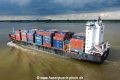Baltic Tern TL-230823-6.jpg