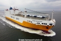 Grande Argentina TL-240621-5.jpg