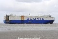 Glovis Symphony JG-180424-3.jpg