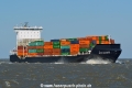 Baltic Shearwater HK-180318-1.jpg