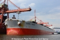 Cape Trust 070712-05.jpg