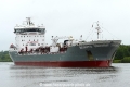 Bonito (OK-310817-1).jpg