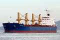 Arnica RV-250711-01.jpg