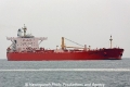 Eagle Turin (AW-150609-01).jpg