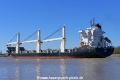 BBC Reef (OK-220420-3).jpg