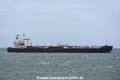 Bunga Allium OS-050618-09.jpg