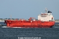Bow Cougar OS-280626-02.jpg
