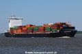 Baltic Shearwater TL-140518-1.jpg