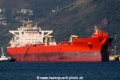 Eagle Paulinia RV-220121-02.jpg
