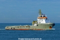 Bear (MB-151026-2).jpg