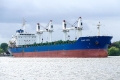 Blue Star (OK-190726-0).jpg