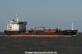 Boringia Swan JG-150414-02.jpg