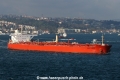 Eagle Phoenix (TJ-260407-13).jpg