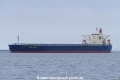 Cape Violet (KK-220318-1).jpg